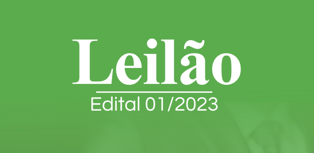 LEILÃO 2024