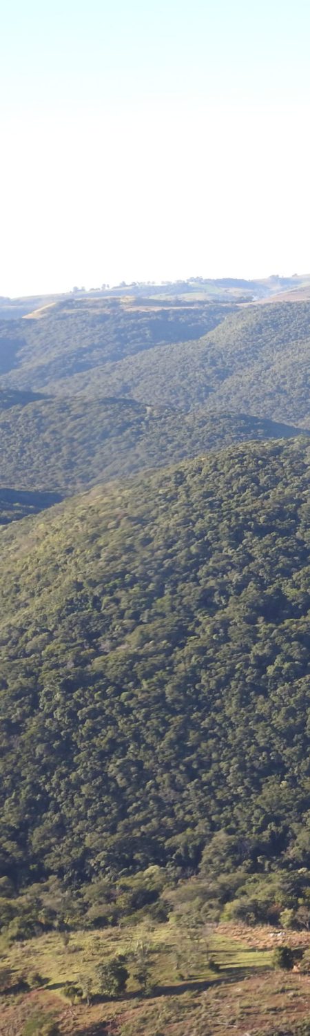 Preservação Ambiental Mato Rico